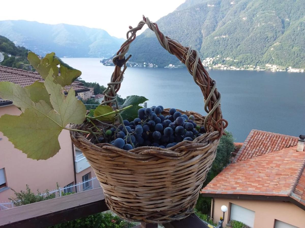 Romantic Home - Lake Como Nesso Extérieur photo
