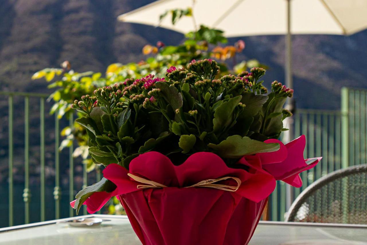 Romantic Home - Lake Como Nesso Extérieur photo